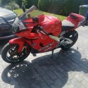 RSV 1000 2001 LIVREA COMPATIBILE